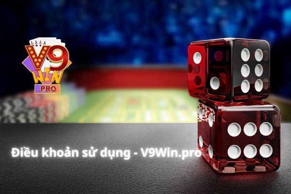 Mục đích điều khoản sử dụng V9Win